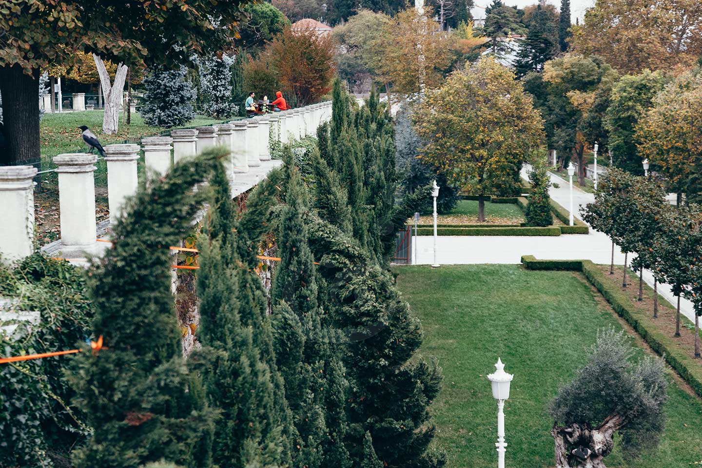 Yildzin park Vines and Pearls