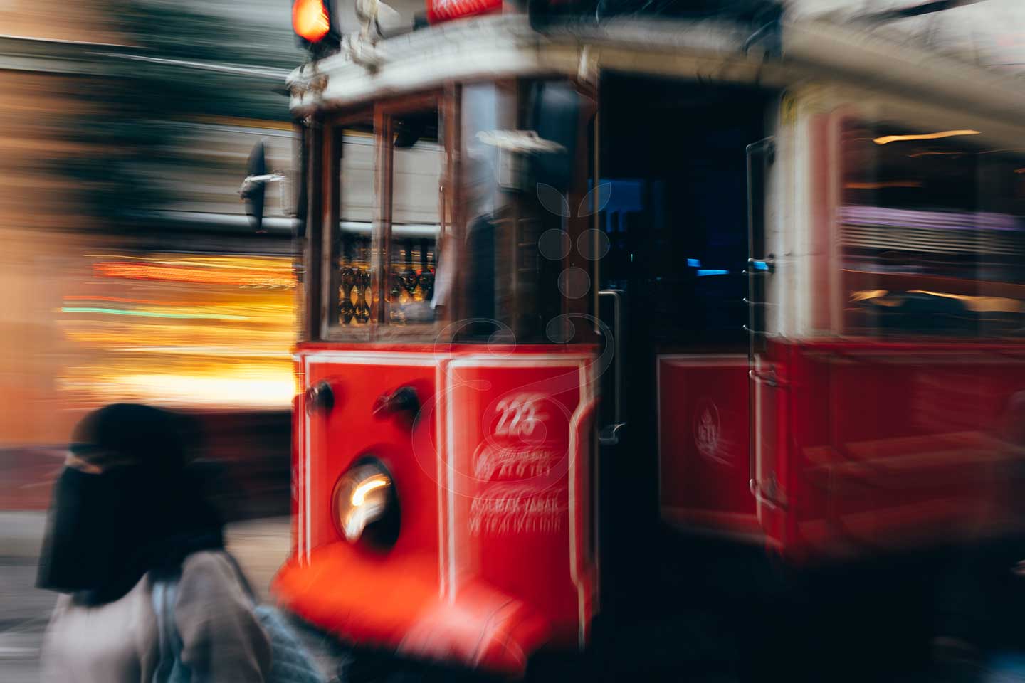 Historic & Buzzy Taksim Tour by Vines and Pearls
