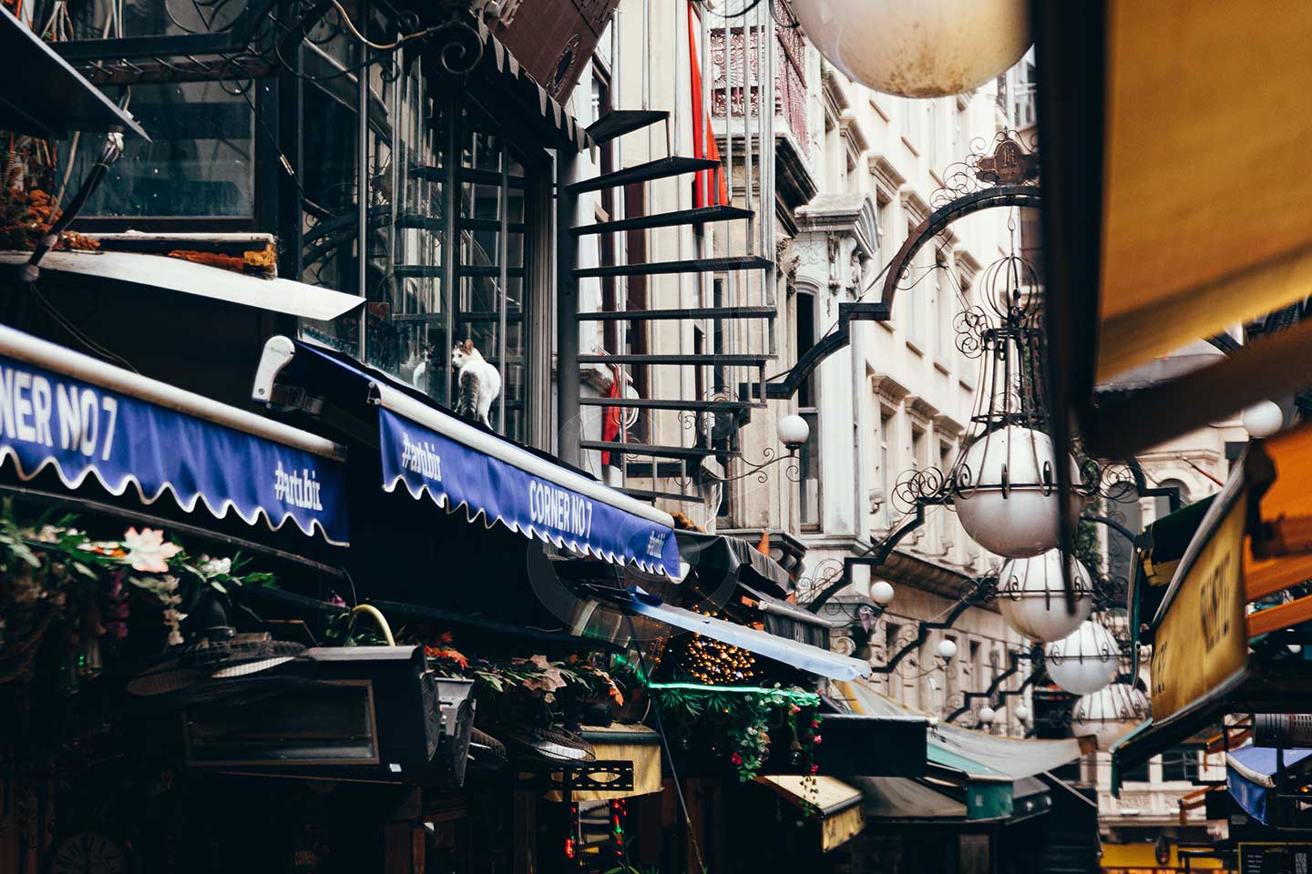 Istanbul city tours by Vines and Pearls. Taksim