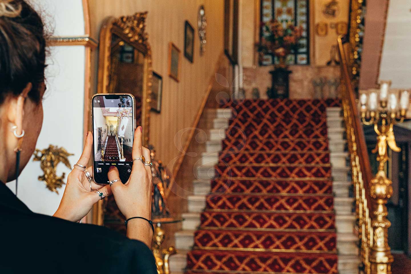 Private Istanbul city tours by Vines and Pearl