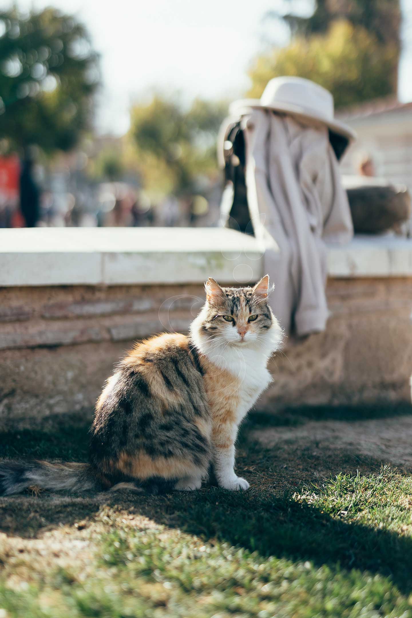 Private Istanbul city tours by Vines and Pearl