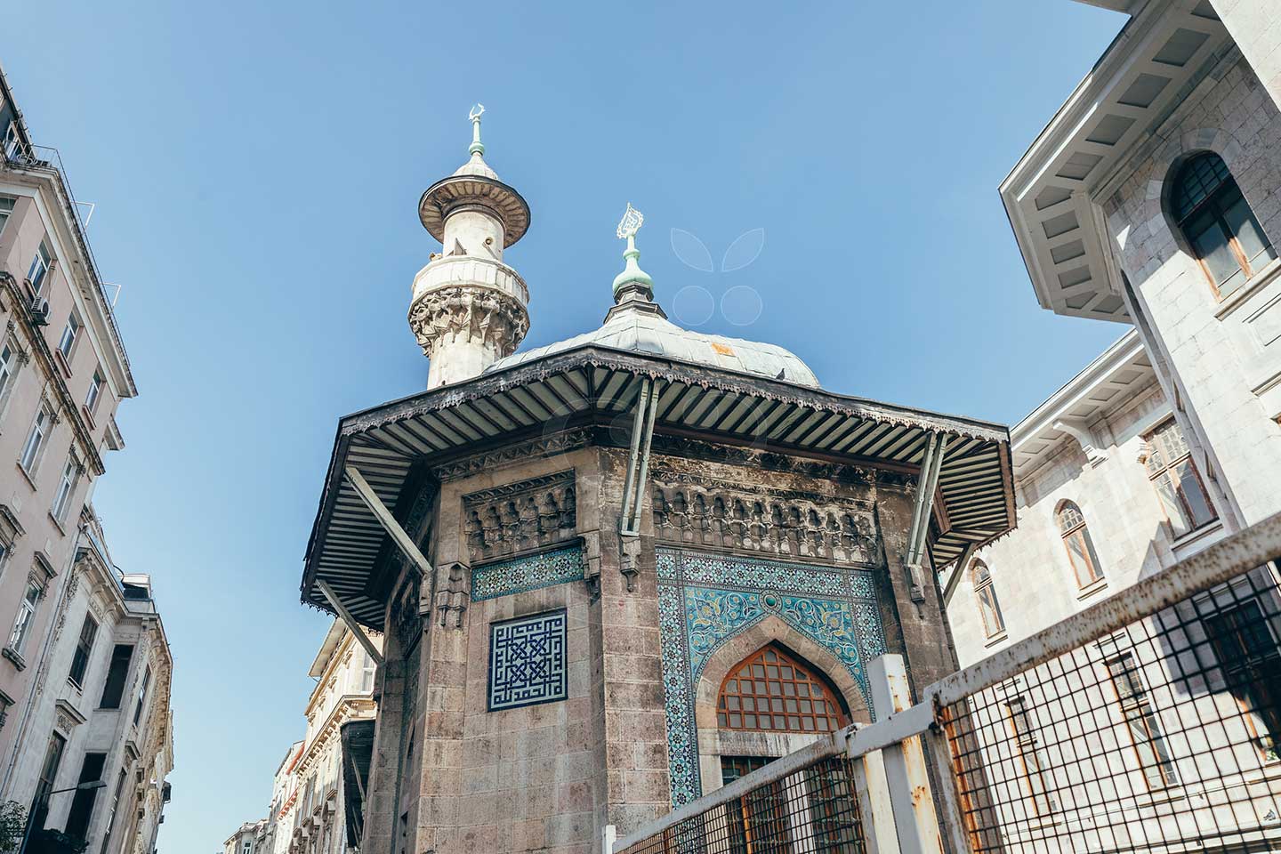 Private Istanbul city tours by Vines and Pearl