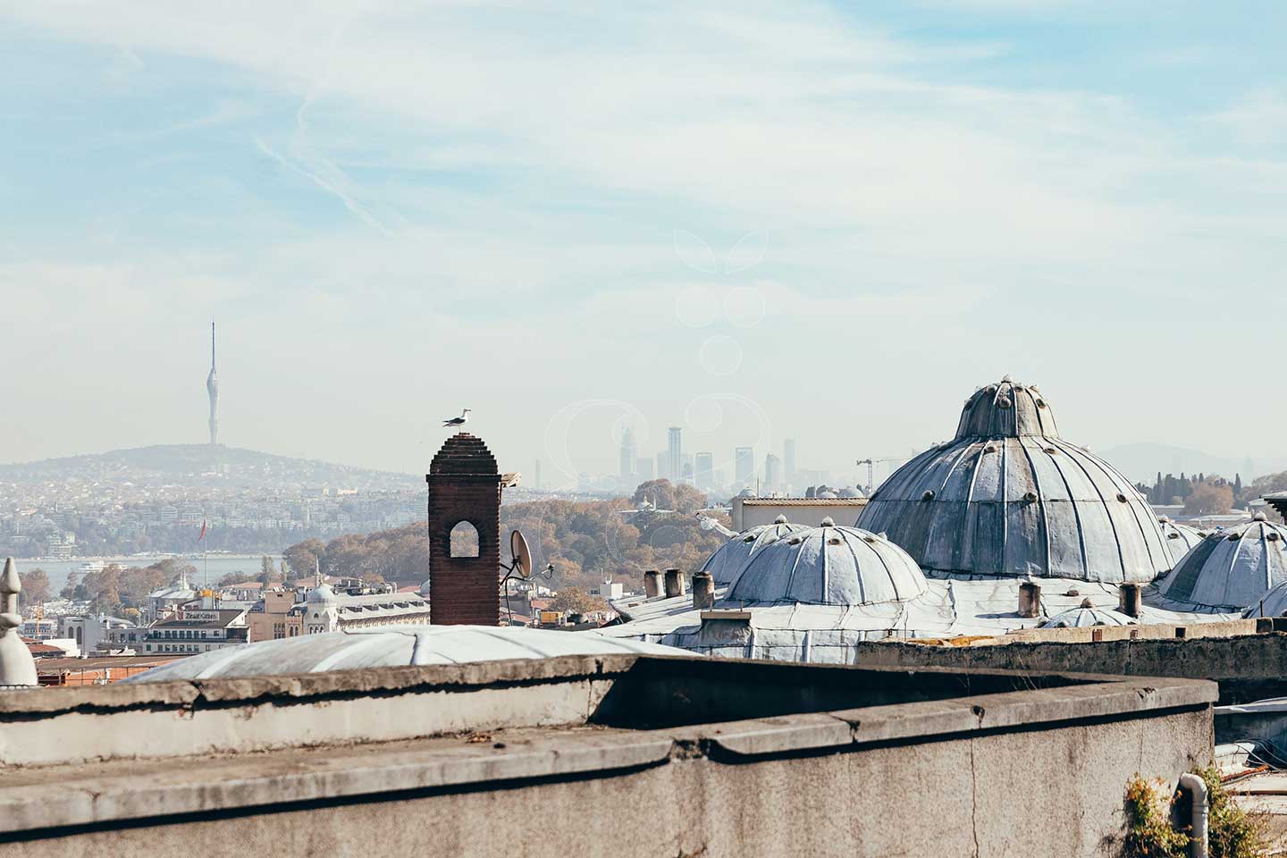 Private Istanbul city tours by Vines and Pearl