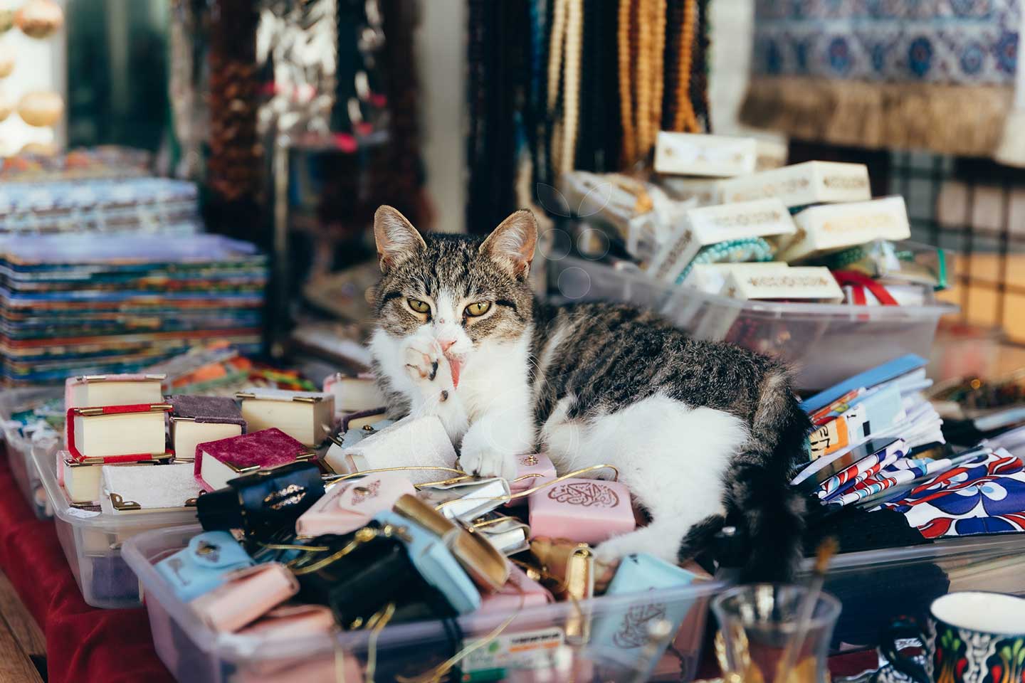 Private Istanbul city tours by Vines and Pearl