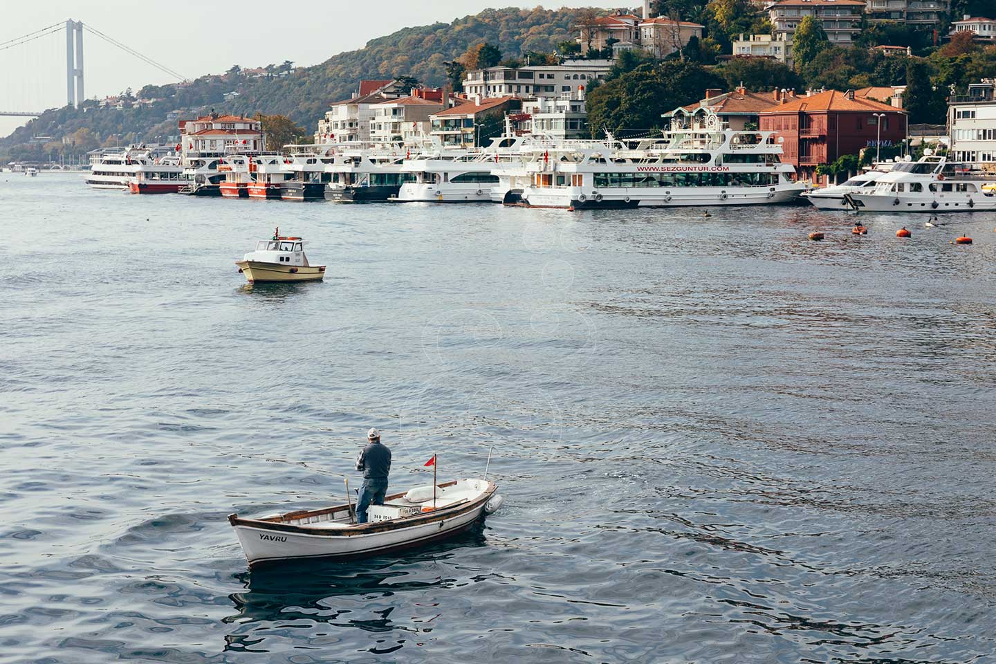 Bosphorus tour Vines and Pearls