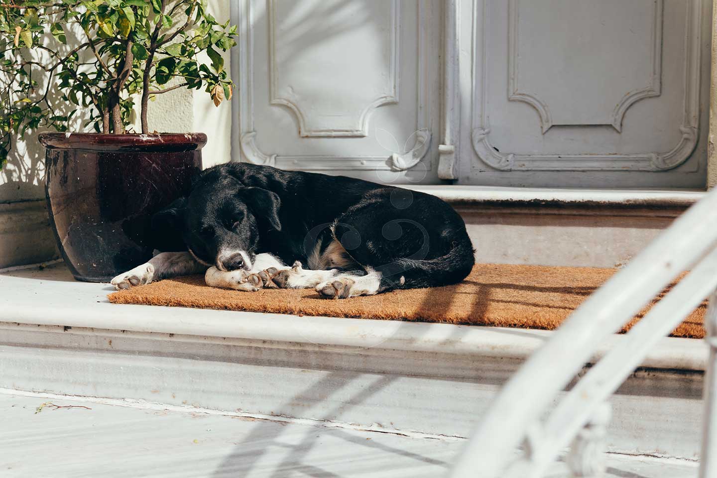 Contemporary Art Istanbul by Vines and Pearls