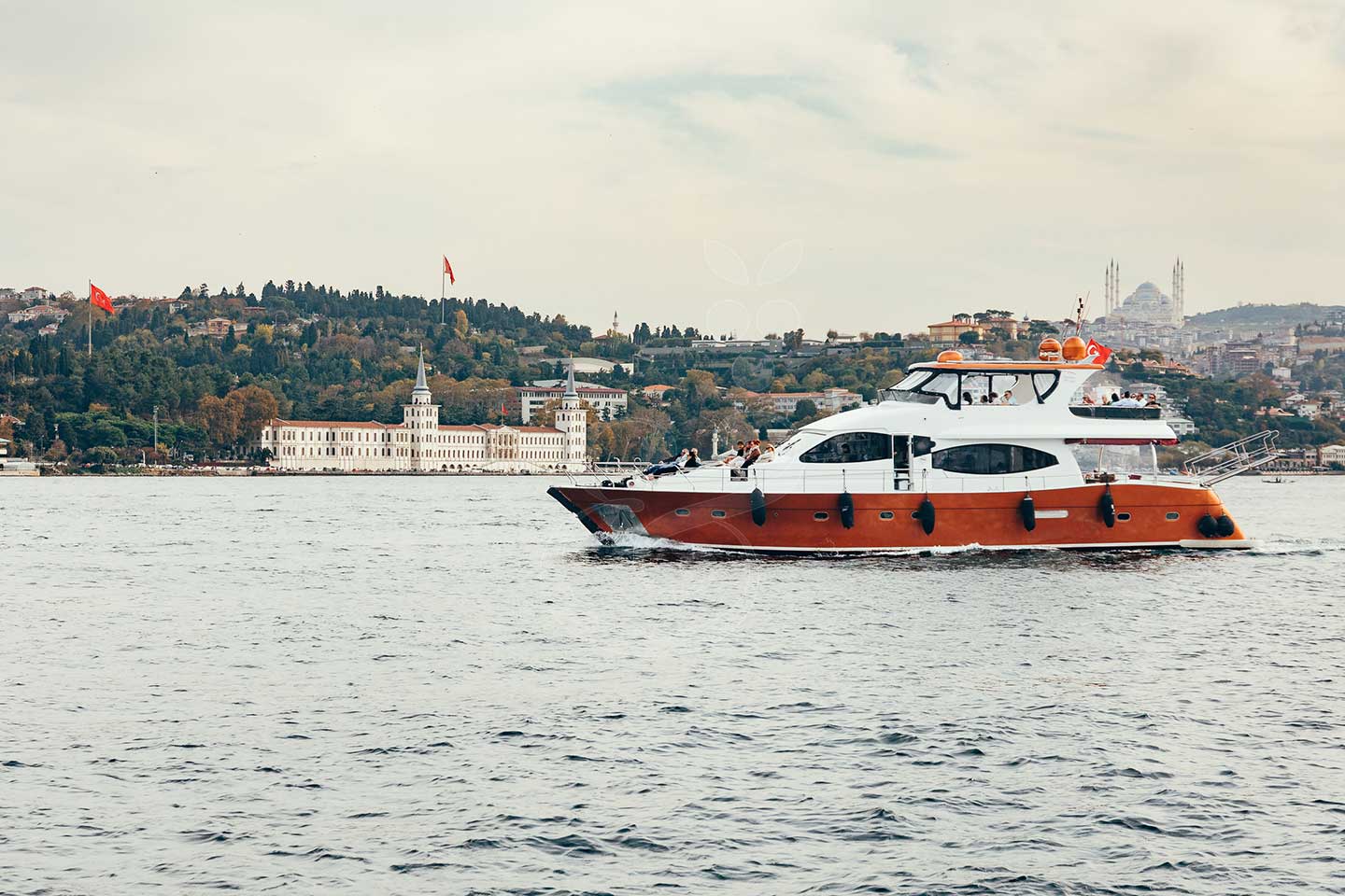 Sailing by Vines and Pearls