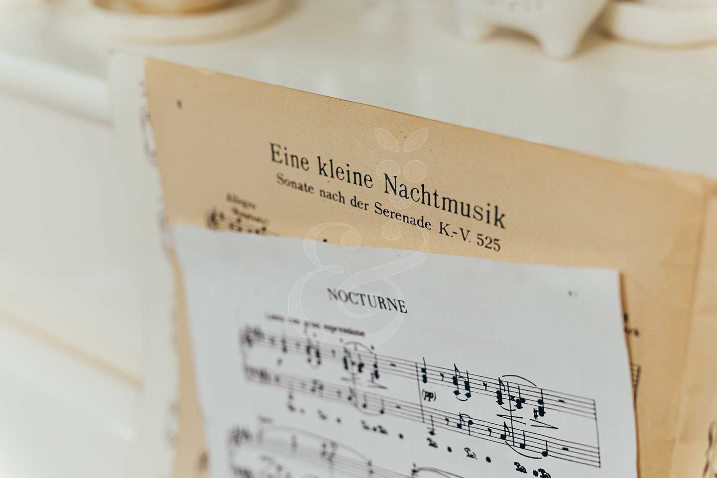 In the Chef's Dining Room Vines & Pearls