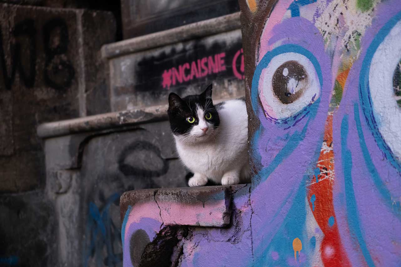 Street art by Berkin Uregen